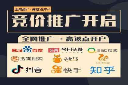 百度网络推广实战：揭秘高效引流秘籍